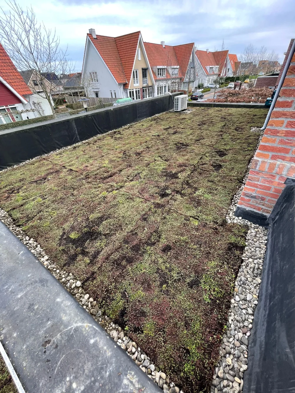 Terneuzen