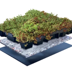 Stel jouw groendak samen!