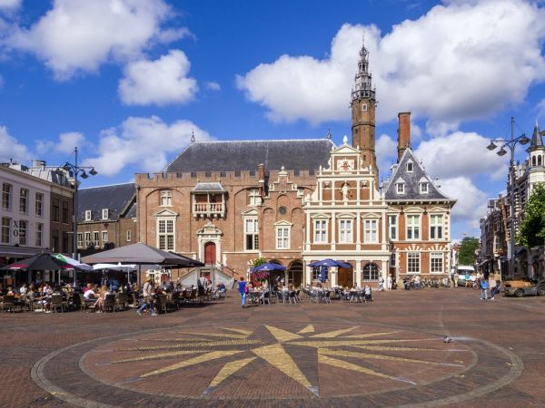 Subsidie sedumdak Haarlem